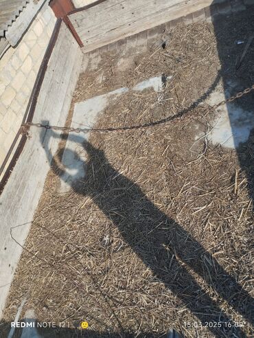 Traktorlar: Təkərləri super mator yeni yığılıb disqiləri pambıq diskləri hava -da lalafo.az — 5 Traktorlar: Təkərləri super mator yeni yığılıb disqiləri pambıq diskləri hava — 5