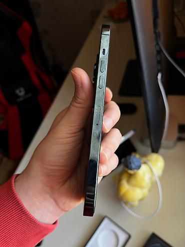 Apple iPhone: IPhone 12 Pro Max, 256 GB — 12