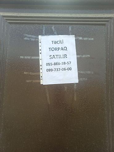 Tikinti