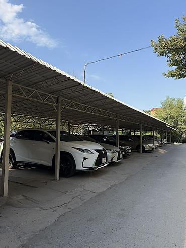 Продажа квартир: 3 комнаты, 58 м², 104 серия, 3 этаж, Свежий ремонт — 13