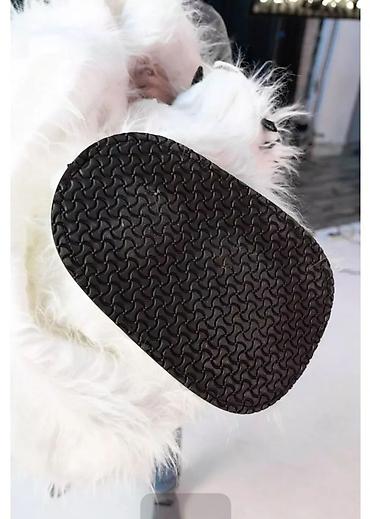 Карнавальные костюмы: Продается Ростовый надувной костюм прлярного Мишки. рост 2.6м костюм — 6