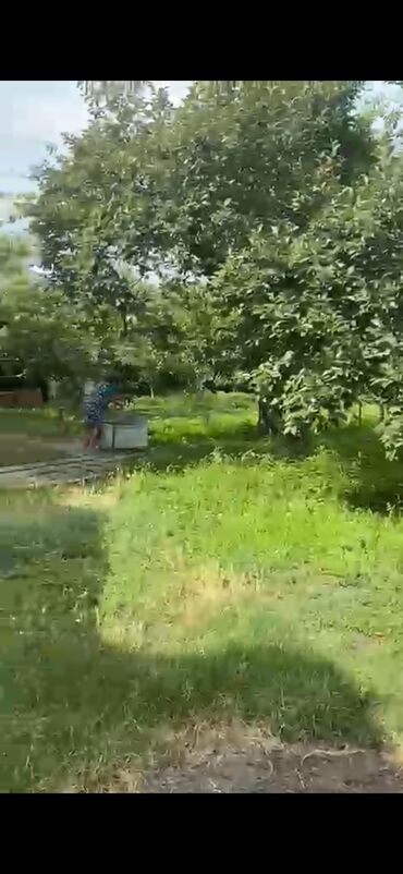 Bağ evlərinin satışı: Bakı, 24 kv. m, 7 otaqlı, Hovuzsuz, Telefon, Qaz, İşıq — 6