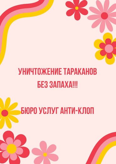 уничтожение тараканов бишкек: Дезинфекциялоо, дезинсекциялоо | Канталалар, Бүргөлөр, Таракандар | Транспорт, Офистер, Батирлер