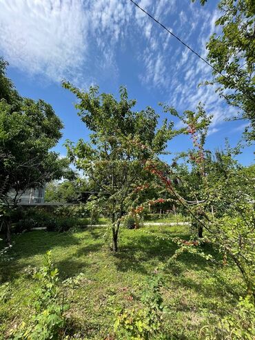 Torpaq sahələrinin satışı: 12 sot, Tikinti, Mülkiyyətçi, Kupça (Çıxarış) — 25