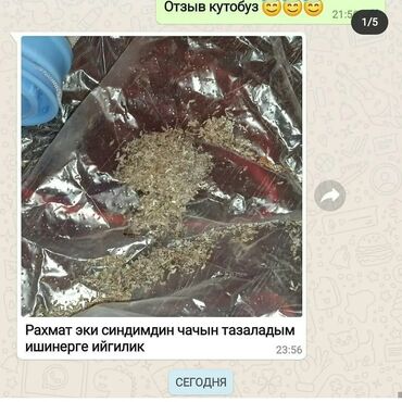 срв бишкек in Кыргызстан | HONDA: 🕷бит сиркелерден арыла албай жатасызбы?🙅♀️ шампунь, спрей,дары-дармек
