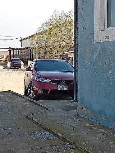 renault azerbaijan kredit: Real alıcı narahat etsin peredok sistemi yeni yığılıb salon səliqəli — 2