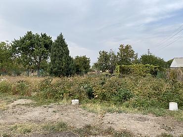 Продажа участков: 5 соток, Для сельского хозяйства — 5