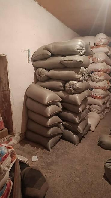 Корма для с/х животных: Отруби пшеничные «Улпак» — оптом. - Натуральные пшеничные отруби — 6