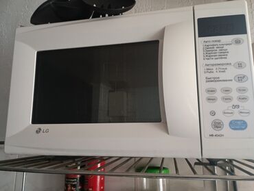 холодильники лж: Микроволновка