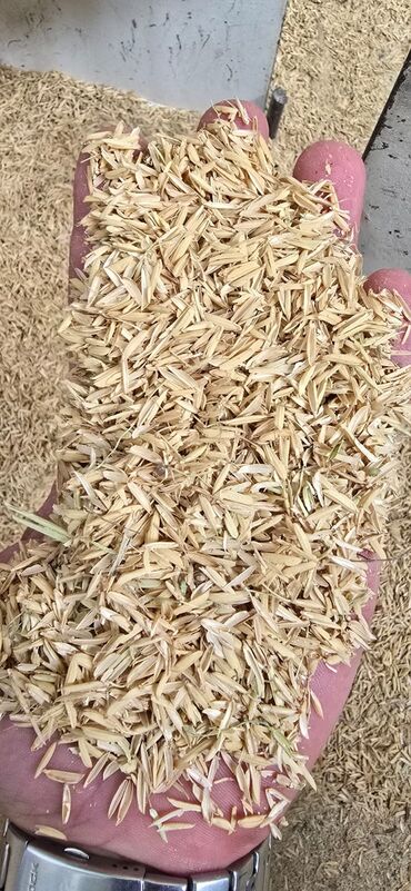 мясо для шаурмы бишкек: 6 ton təmiz düyü qabığı – cəmi 1200 manat! 🚛 Çatdırılma daxil! ✅