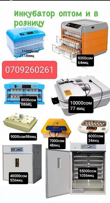 Товары и оборудование для с/х животных: Инкубаторы китайский сатылат жаңы полный автомат свет очсо 12 вольт — 6