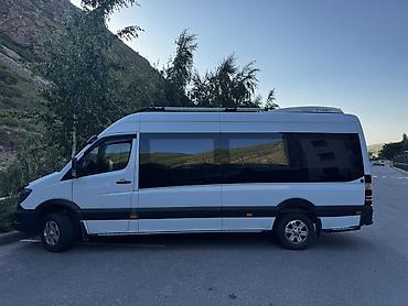 rex sprinter: Пункт назначения: Все направления, Количество мест: 19, Лицензия №: 00-ФММП-1476 — 2