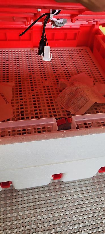 Инкубаторы: Elektron inkubator – polistirol korpuslu, rəqəmsal idarəetmə paneli — 1