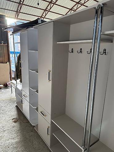 Шкафы для одежды: Шкаф для одежды, Новый, Прямой, ЛДСП — 19