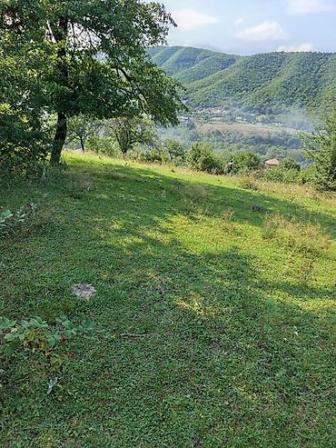 ramanıda torpaq satılır: 17 sot, Tikinti, Maklerlər narahat etməsin, Bələdiyyə — 6