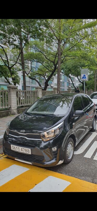 купить авто в рассрочку: Kia Morning: 2019 г., 1 л, Механика, Бензин, Хетчбек