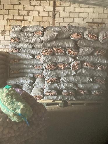 Промышленные холодильники и комплектующие: Сдаются в аренду холодильники промышленные для сельскохозяйственных — 18