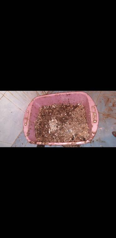 Ariston təmiri: Ariston təmiri — 7