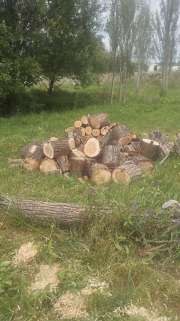 Дрова at lalafo.kg Дрова