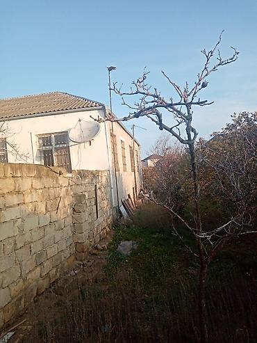 afrem evler: 4 otaqlı, 146 kv. m — 9