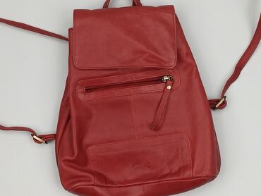 Backpack, condition - Very good