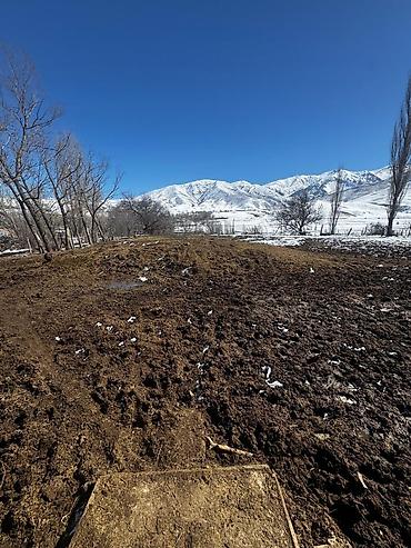 Продажа дач: 🔥 Срочно продаётся конюшня в Тош-Булаке! Отличный вариант для — 14