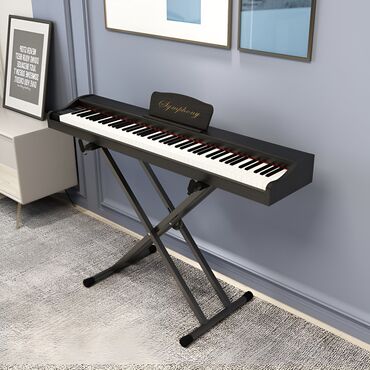 Pianolar: Piano, Rəqəmsal, Yeni — 11