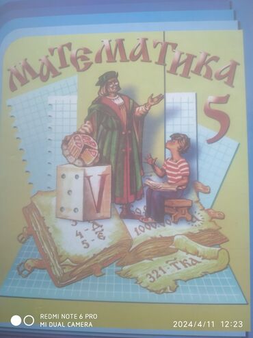 математика книги: Математика 5 класса почти идеальное состояние