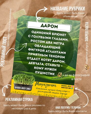 иссык куль массаж: Курсы | Курс парикмахеров, Мастера маникюра, Мастера педикюра