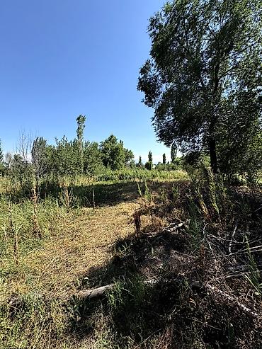 срочное: 📌В селе Беловодское срочно продаётся дом на участке 17 соток. ▪️Дом — 2