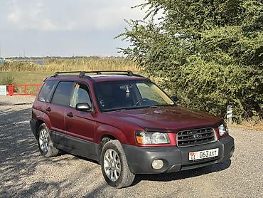капот на субару форестер: Subaru Forester: 2002 г., 2.5 л, Автомат, Бензин, Кроссовер — 1