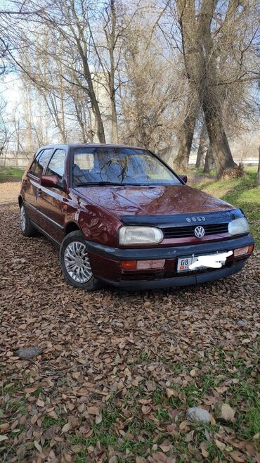 машины 300000: Volkswagen Golf: 1992 г., 1.8 л, Механика, Бензин, Хетчбек