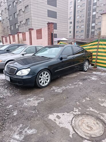 mersedes benz: Mercedes-Benz S-Class: 2000 г., 4.3 л, Автомат, Бензин, Седан