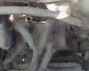 turbotrafo.at: BOBINA ZA CITROEN SAXO OD 1996. DO 2000. GOD. | bobinagarancija na — 1