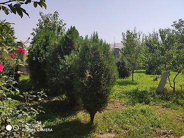 арендовать дом: 128000 соток, Для бизнеса, Красная книга, Тех паспорт — 4