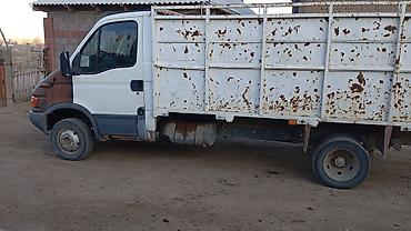 nissan r34: Грузовик, Iveco, Стандарт, Б/у — 1