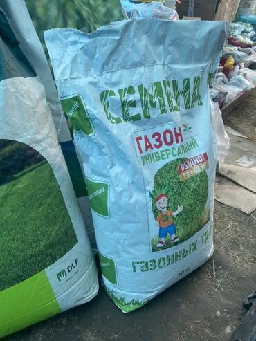 Зерновые культуры: Предлагаются семена газонной травы различных сортов, включая — 6