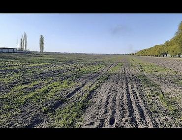 село арчалы: 40000 соток — 1
