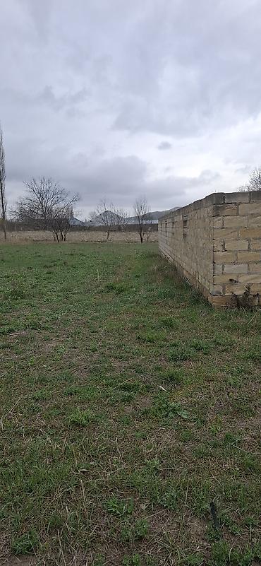 razinde evler: Şəki, 70 kv. m, 3 otaqlı, Hovuzsuz, Kommunal xətlər qoşulmayıb — 4