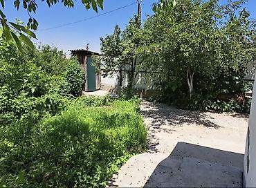 Продажа коттеджей и домов: ‼️Срочно продается Дача в Байтике 15км от города 🏠На участке есть дом at lalafo.kg — 5 Продажа коттеджей и домов: ‼️Срочно продается Дача в Байтике 15км от города 🏠На участке есть дом — 5