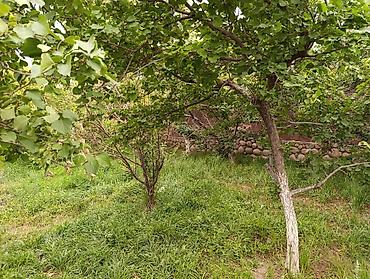 Продажа коттеджей и домов: СРОЧНО ‼️ ✅ Продается дом в Балыкчы ✅ Ниже от основной трассы в 150 — 8