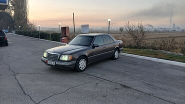 домик вагон: Mercedes-Benz W124: 1989 г., Седан