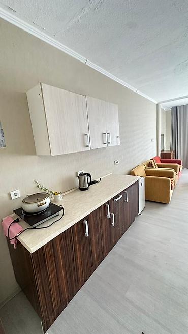 Продажа квартир: 1 комната, 45 м², Индивидуалка, 3 этаж, Дизайнерский ремонт — 4