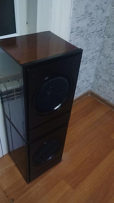 kalonka sekilleri: İkiqat wooferli akustik kolon - Dizayn: Hündür, düzbucaqlı korpus; ön — 1