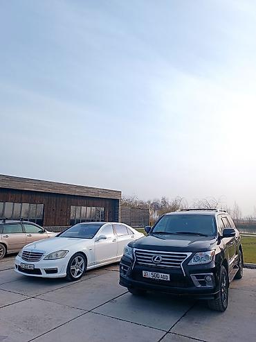 hi limousine: Майбах VIP-Кортеж кортеж, кортеж свадьбы торжества — 6