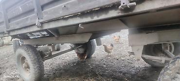 Traktor qoşqularının ehtiyyat hissələri: Kənd təsərrüfatı üçün ikioxlu qoşqu - Korpus: yüksək yanlı, metal — 10