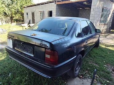 сиз 80: Opel Vectra: 1991 г., Седан — 1