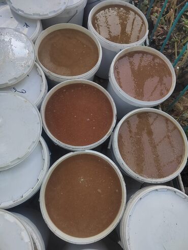 Другие продукты питания: Таза бал сатылат Нарын Ат башынын балы баасы келишим түрдө