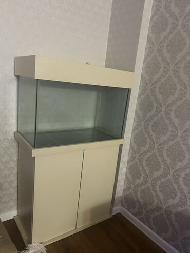 Akvariumlar: Dördbucaq akvarium, Boş, 140 l — 10