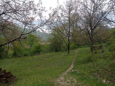 Torpaq sahələrinin satışı: Tikinti, Kupça (Çıxarış)